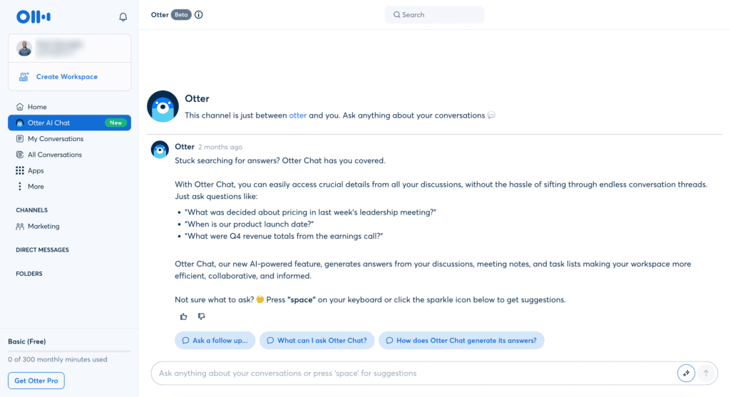 Otter Bildschirmfoto AI Chat